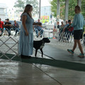 IMG_9115.JPG