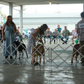 IMG_9121.JPG