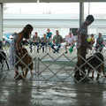IMG_9122.JPG