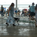 IMG_9126.JPG