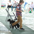 IMG_9146.JPG