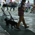 IMG_9147.JPG