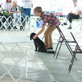 IMG_9150.JPG