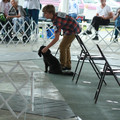 IMG_9151.JPG