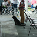 IMG_9152.JPG
