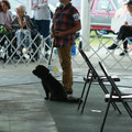 IMG_9154.JPG