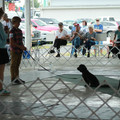 IMG_9158.JPG