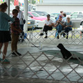 IMG_9159.JPG