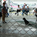 IMG_9161.JPG