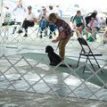 IMG_9162.JPG
