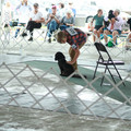 IMG_9164.JPG