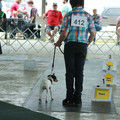 IMG_9167.JPG