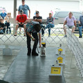 IMG_9170.JPG
