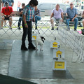 IMG_9172.JPG