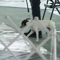 IMG_9173.JPG