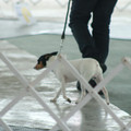 IMG_9174.JPG