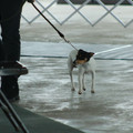 IMG_9177.JPG