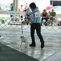 IMG_9179.JPG