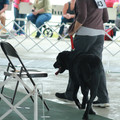 IMG_9186.JPG