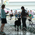 IMG_9192.JPG