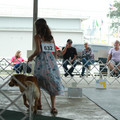 IMG_9213.JPG