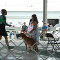 IMG_9215.JPG
