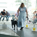 IMG_9221.JPG