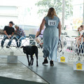 IMG_9222.JPG