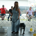 IMG_9224.JPG