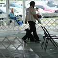IMG_9240.JPG