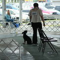 IMG_9241.JPG