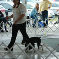 IMG_9248.JPG