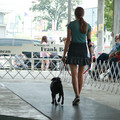 IMG_9253.JPG