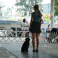 IMG_9256.JPG