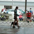 IMG_9260.JPG