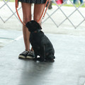 IMG_9266.JPG