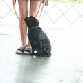 IMG_9267.JPG