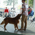 IMG_9275.JPG