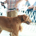 IMG_9278.JPG