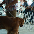 IMG_9279.JPG