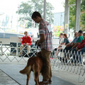 IMG_9280.JPG