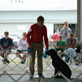 IMG_9294.JPG
