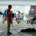 IMG_9296.JPG