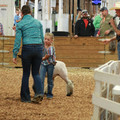 IMG_9391.JPG
