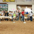 IMG_9415.JPG