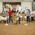 IMG_9417.JPG