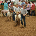 IMG_9418.JPG