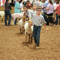IMG_9419.JPG