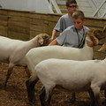 IMG_9428.JPG