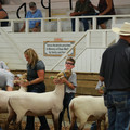 IMG_9431.JPG